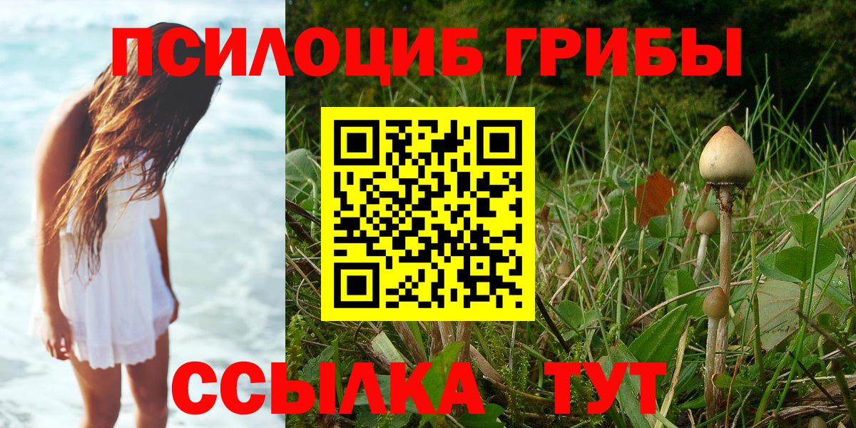 Псилоцибиновые грибы мицелий  наркошоп  Галлюциногенные грибы прущие грибы  Тында  Вход с VPN 
