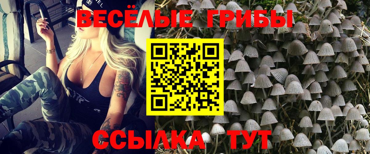Псилоцибиновые грибы ЛСД Тында